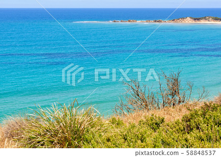 Lorne-Queenscliff Coastal Reserve - Anglesea Lorne-Queenscliff Coastal Reserve - Anglesea 58848537