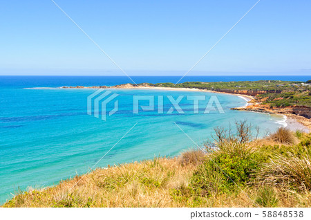 View from the Loveridge Lookout - Anglesea 58848538