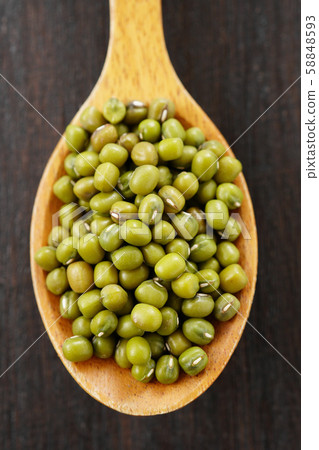 Mung Bean Mung Bean Mung Bean Mung Bean 58848593