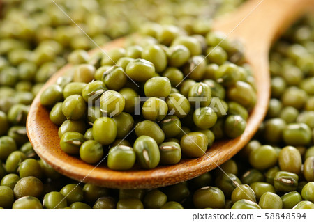 Mung Bean Mung Bean 58848594