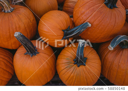 Pumpkin stand on a market, October 58850148