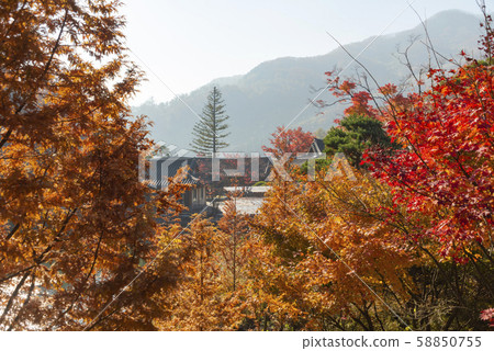 京畿道光州市瓜林紅葉風景 58850755