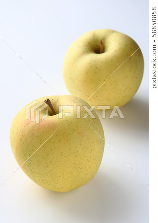 當蘋果 當蘋果 58850858