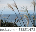 Autumn pictures Autumn pictures 58851472