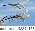Autumn pictures Autumn pictures 58851473