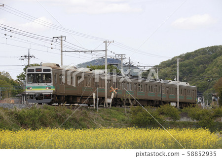 Chichibu Railway Series 7500 and mustard field Chichibu Railway Series 7500 and mustard field 58852935