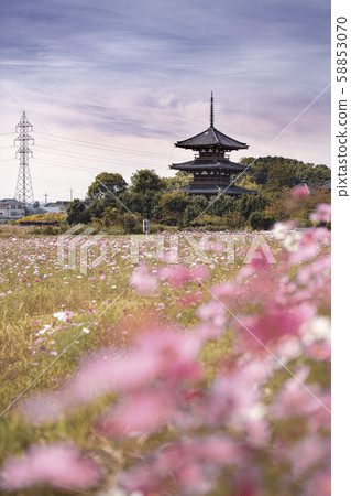 弘法寺的宇宙 58853070