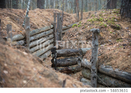 Trench in the forest f World War II 58853631