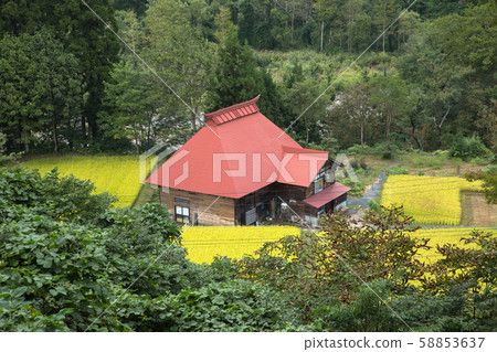 新潟縣海嘯町秋山鄉私人住宅和稻田 58853637