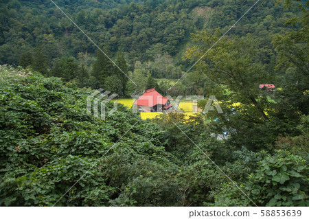 新潟縣海嘯町秋山鄉私人住宅和稻田 58853639