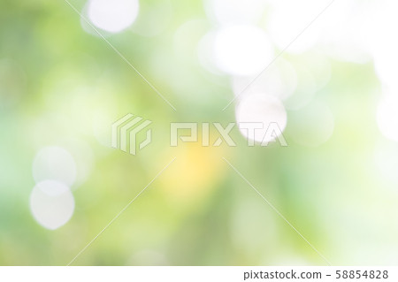 Abstract nature green 58854828