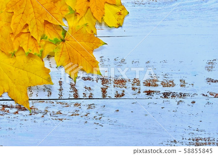 Autumn background with colored leaves on wood Autumn background with colored leaves on wood 58855845