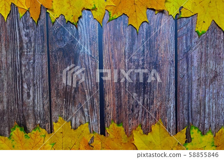 Autumn background with colored leaves on wood 58855846