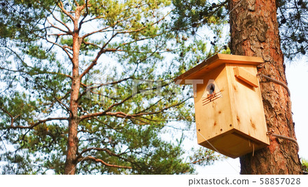 Birdhouse made of wood Birdhouse made of wood 58857028