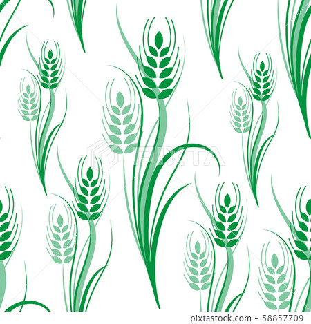 Seamless pattern with green wheat spikelets on a white isolated background. Vector illustration 58857709