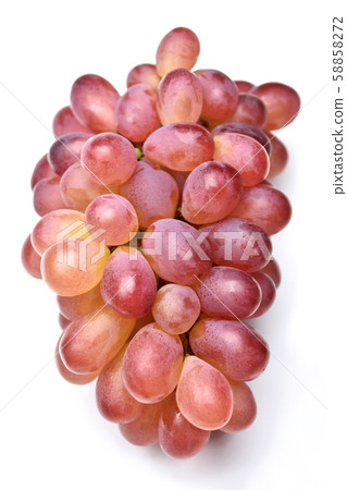 Grapes (Rosario Rosso) Grapes (Rosario Rosso) 58858272