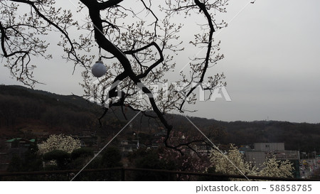 Spring landscape 58858785