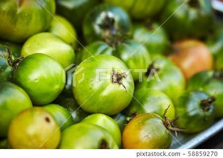 Tomato Tomato 58859270