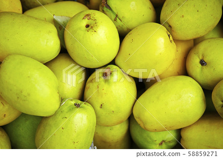 fruits fruits 58859271