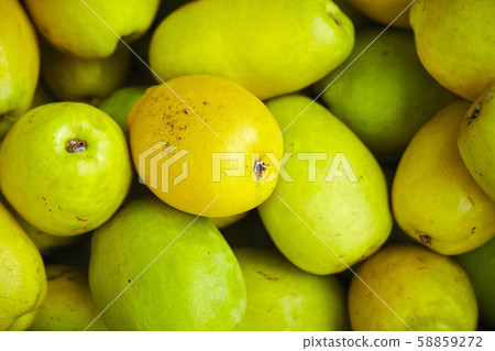 fruits fruits 58859272