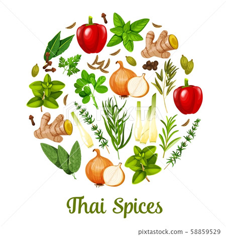 Thai herbs and spices cooking ingredients Thai herbs and spices cooking ingredients 58859529