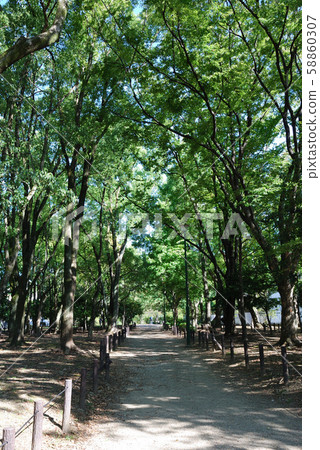 鶴舞公園 鶴舞公園 58860307