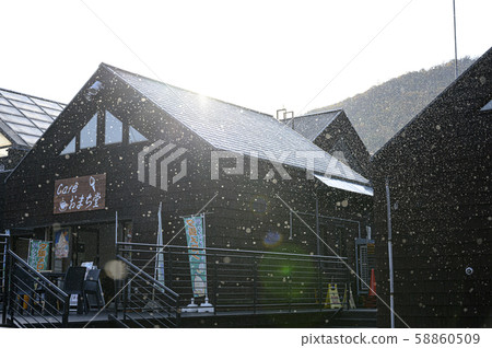 Mass emergence of snow caterpillars 58860509