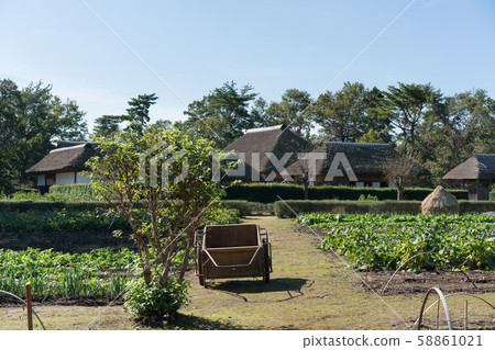 A cart placed in the field 58861021