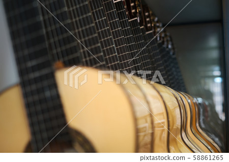 Classic Guitars For Sale In Music Instrument Shop 58861265