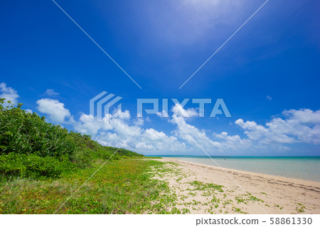 在小濱島上的海灘 58861330