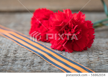St. George ribbon and red carnation, may 9 Victory 58862034