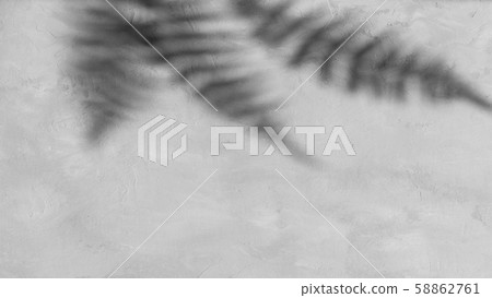 Fern leaves shadows on grey concrete wall 58862761