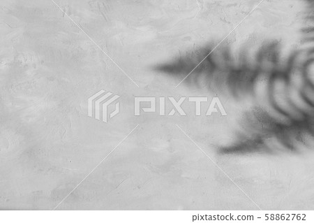 Fern leaves shadows on grey concrete wall Fern leaves shadows on grey concrete wall 58862762