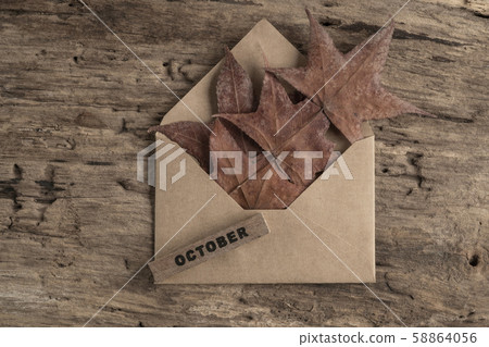 template for october with dried leaves on wooden 58864056