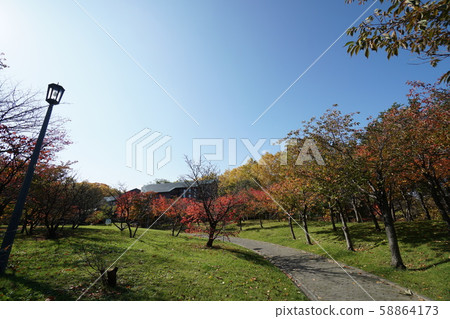 天神山琉球，平石，札幌 58864173