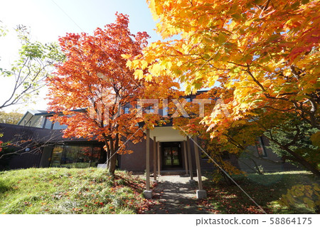 天神山琉球，平石，札幌 58864175