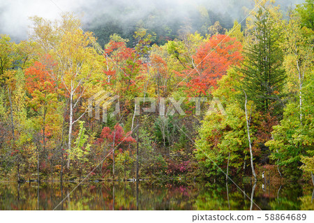 主要池塘的秋葉 58864689