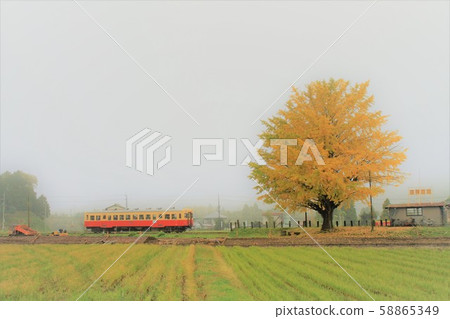 本地線下降 本地線下降 58865349