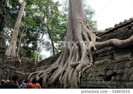 Taverme Taverme 58865639