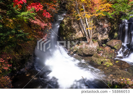 << chi木>>秋天的日光，龍津瀑布 58866053