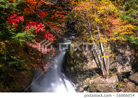 << Tochigi >> Autumn Nikko, Ryuzuno Falls 58866054