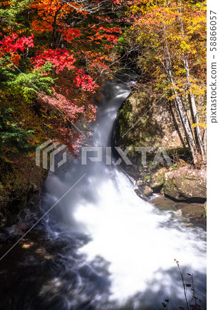 << chi木>>秋天的日光，龍津瀑布 58866057