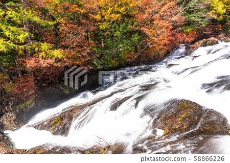 << chi木>>秋天的日光，龍津瀑布 58866226