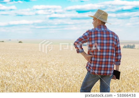 Farmer in straw hat uses his tablet pc at ready 58866438