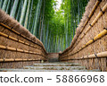 Kyoto, Arashiyama, Bamboo Path, Bakeno Nenbutsuji Temple 58866968