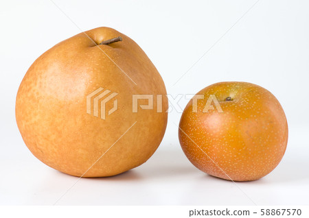 Shin Takanashi and Akizuki Pear 58867570