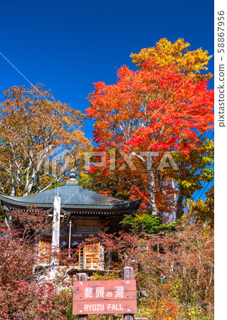 <Tochigi Prefecture> Autumn leaves and autumn Okunikko shining in the sky <Tochigi Prefecture> Autumn leaves and autumn Okunikko shining in the sky 58867956