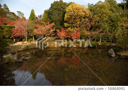 Kyoto Autumn Autumn Kyoto Autumn Autumn 58868091