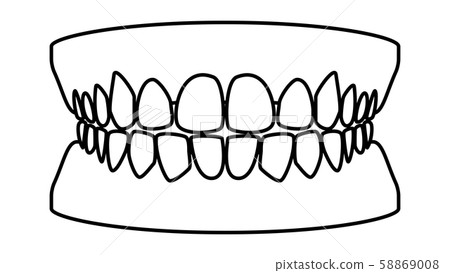 Healthy teeth, tooth arrangement real illustration material 58869008