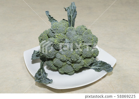 Broccoli, Broccoli, 58869225
